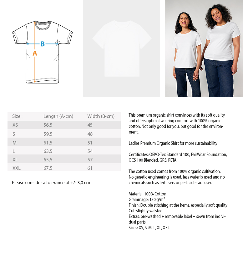 daycare teacher shirt Erzieherin Shirt lustig ich erkläre es zum dritten Mal - Ladies Premium Organic Shirt – Bild 17